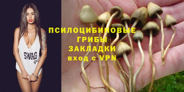 спиды Володарск