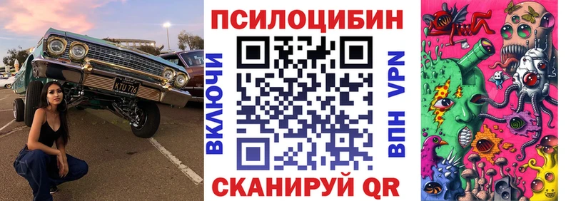 где продают   Славянск-на-Кубани  Галлюциногенные грибы Psilocybe 